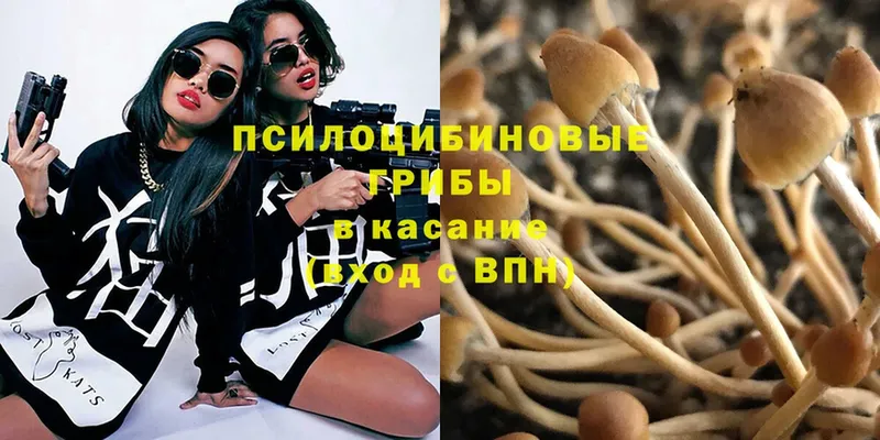 Галлюциногенные грибы Magic Shrooms  Раменское 