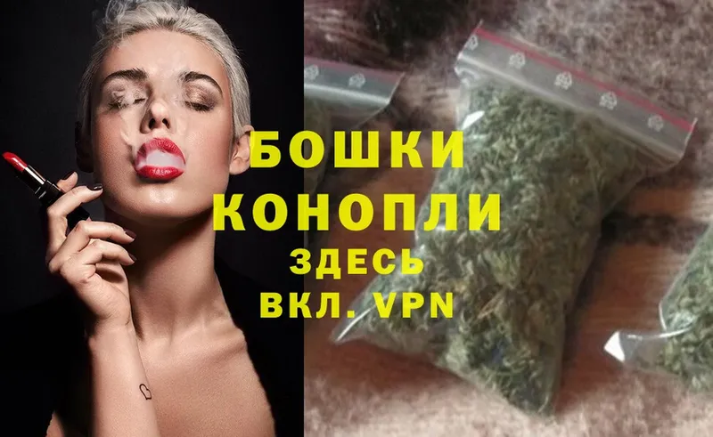 Шишки марихуана SATIVA & INDICA  закладка  Раменское 